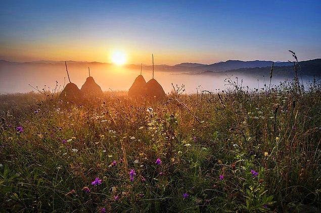 Как в сказке: Фотограф 10 лет снимает природу сельской Румынии, в которую невозможно не влюбиться