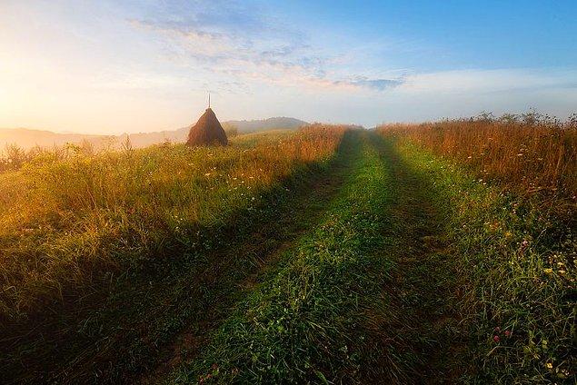 Как в сказке: Фотограф 10 лет снимает природу сельской Румынии, в которую невозможно не влюбиться