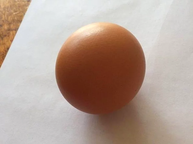 «Моя курица снесла сферическое яичко».