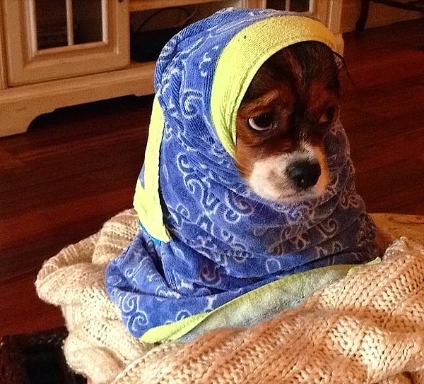 Сама невинность!