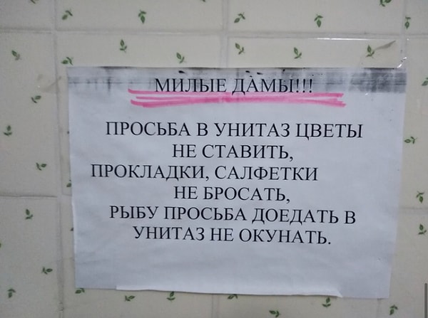 12. Страшно представить предысторию...