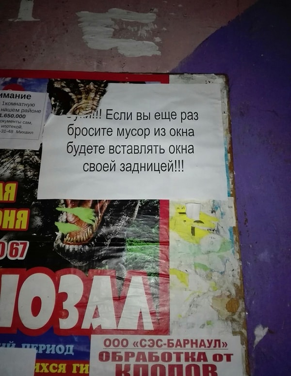 15. Крик души