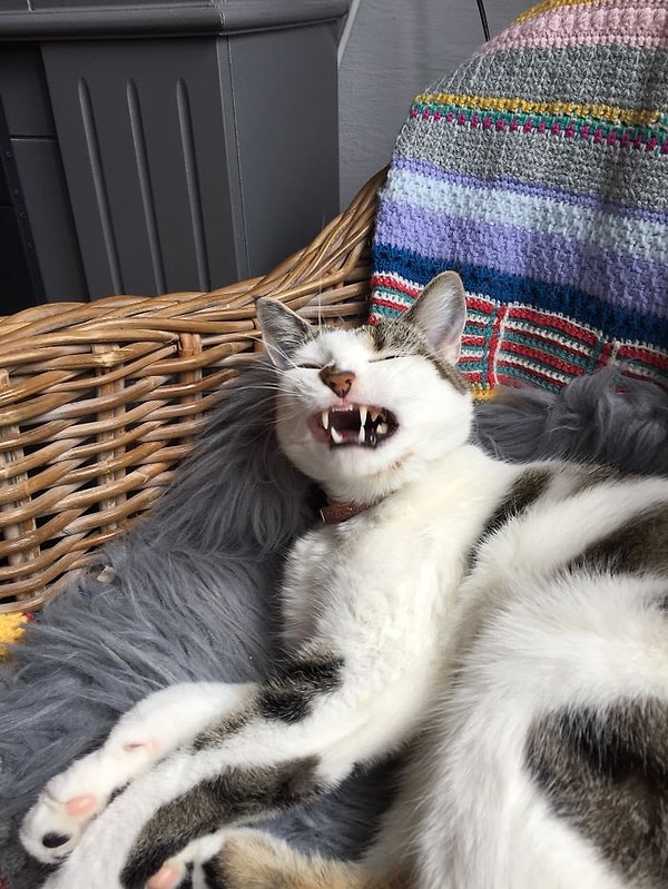 3. Страшно недоволен