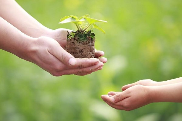 Вы стремитесь достичь гармонии во всем