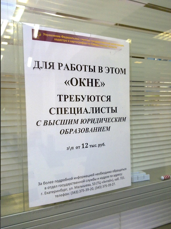 14. Как тебе такое, Илон Маск?