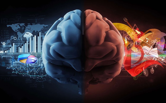 То, что видите на этих картинках, расскажет, какое полушарие вашего мозга является доминирующим