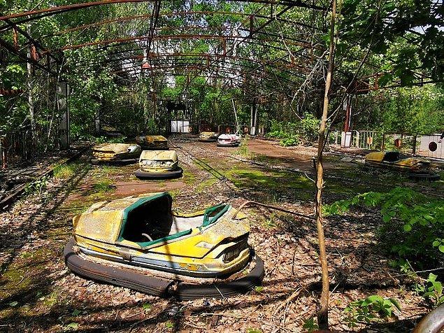 30 фотографий природы, выигравшей битву с радиацией в зоне отчуждения вокруг Чернобыля