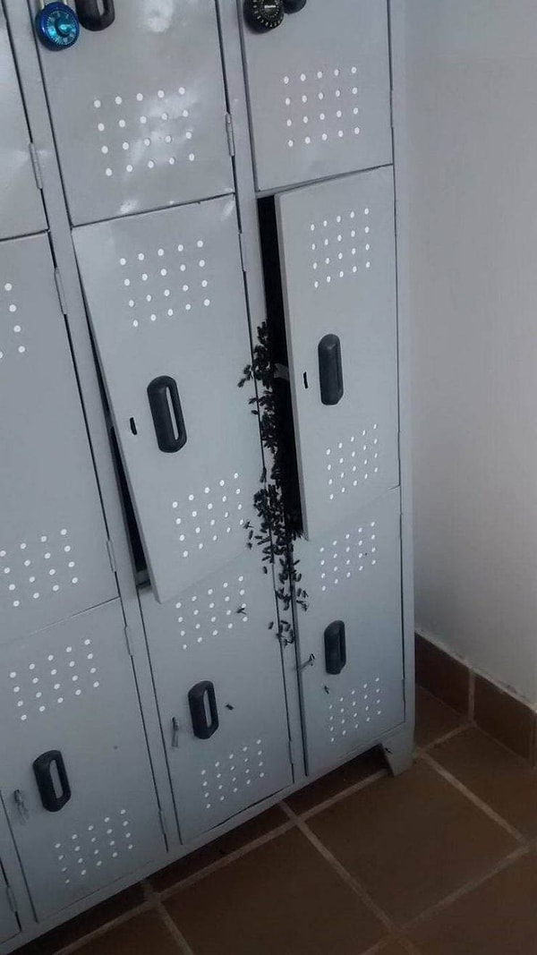 4. Вася, там из твоего шкафчика доносятся какие-то странные звуки