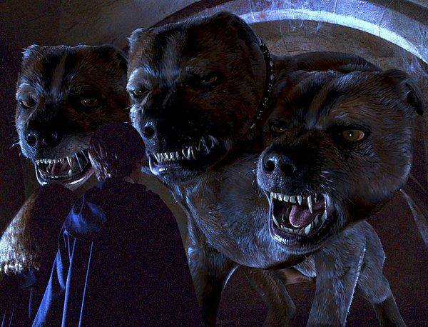 1. Serinin ilk filmi olan Felsefe Taşı'nda mitolojide Cerberus olarak bildiğimiz üç başlı köpek, Fluffy adıyla karşımıza çıkıyor. Hades'in bekçisi olan Cerberus gibi Fluffy de felsefe taşının bekçisidir.