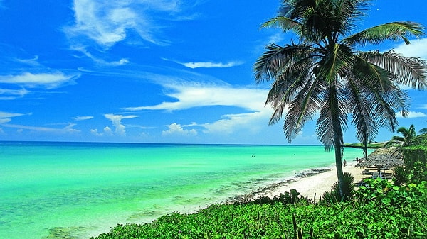 9. Какое море омывает государство Гватемала?