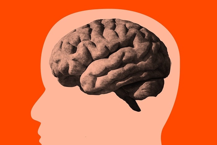 Тест: Если сможете ответить на эти 5 вопросов, то по вам плачет Гарвард