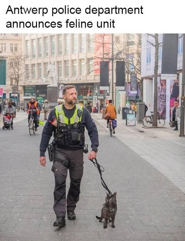 7. Усатые новобранцы в рядах полиции Антверпена