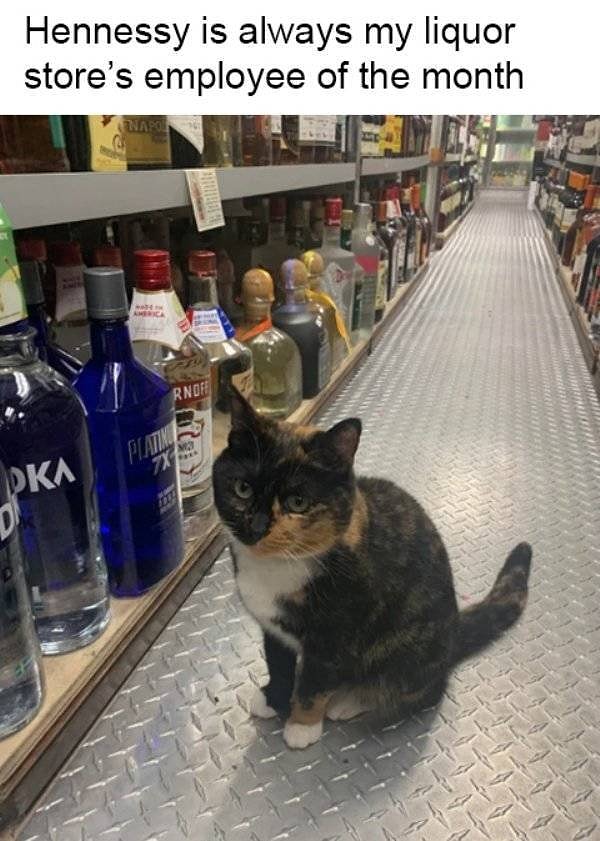 9. Работник месяца в местной ликеро-водочной лавке