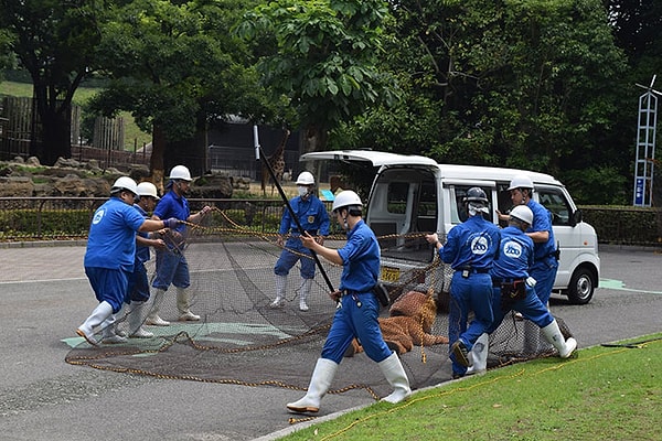 4. По всей видимости, учения прошли успешно