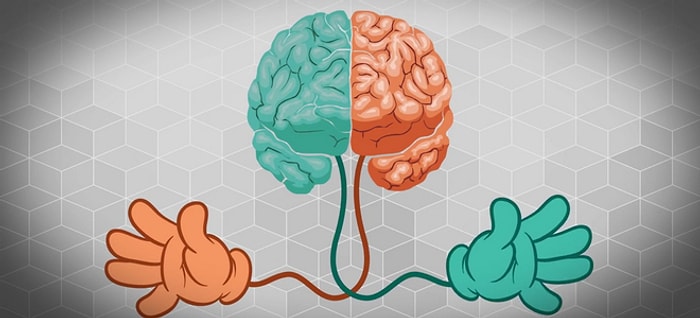 Тест: То, что вы увидели первым на картинке, определит, какое мышление у вас доминирует
