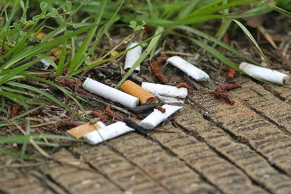 "Bu filtrelerin sigara içenler için herhangi bir fayda sağlamadığı biliniyor, aksine doğa için uzun vadeli bir tehdit teşkil ediyorlar."