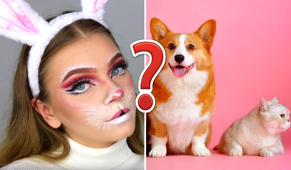 Тест: Каким домашним животным вы были в прошлой жизни?