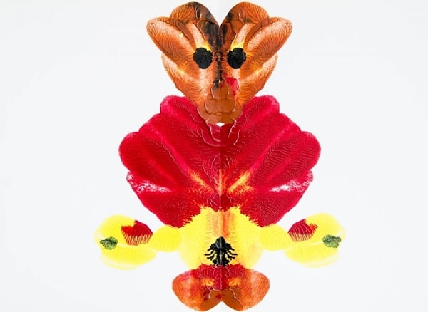 1. Что вы здесь видите?