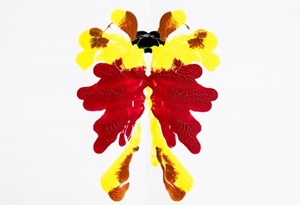 7. Что вы здесь видите?