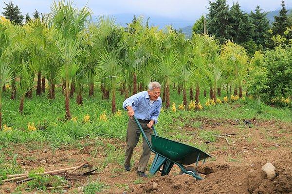 Doğaya ilgisi olan ve toprağı, fidanları ağaçları çok seven 83 yaşındaki Recep Öztürk 10 dönümlük bu taşlık, dikenlik araziyi satın alarak 150 türde 4 bin ağacın burada nefes almasını sağladı.