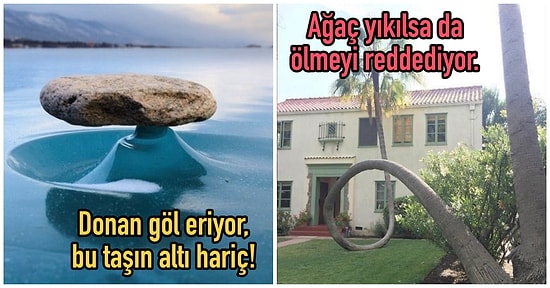 'İki Dakika Bakıp Çıkarım' Diye Açıp Sonuna Gelene Dek Gözlerinizi Ayırmayacağınız, İnternete Hükmeden 18 Görüntü!