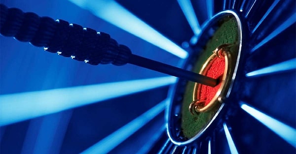 8. Какая у вас цель в жизни?