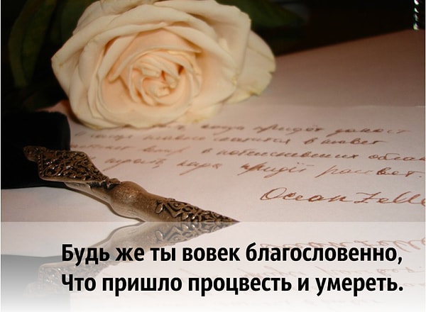 6. Что скажете?