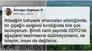 'Kesmeyin Hocam!' ODTÜ'de Yaşanan Ağaç Kesimiyle İlgili İnsanlar Tepkilerini Adeta Haykırıyor