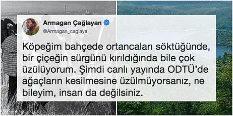 'Kesmeyin Hocam!' ODTÜ'de Yaşanan Ağaç Kesimiyle İlgili İnsanlar Tepkilerini Adeta Haykırıyor