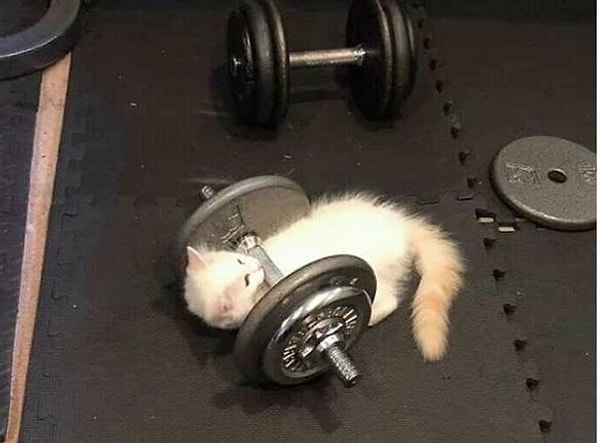 5. Сильнее, выше, быстрее!