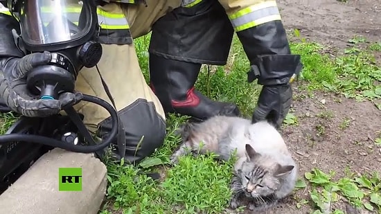 Yangından Kurtardığı Kediyi Oksijen Maskesi ile Yaşama Döndüren İtfaiyecinin Muhteşem Anları!