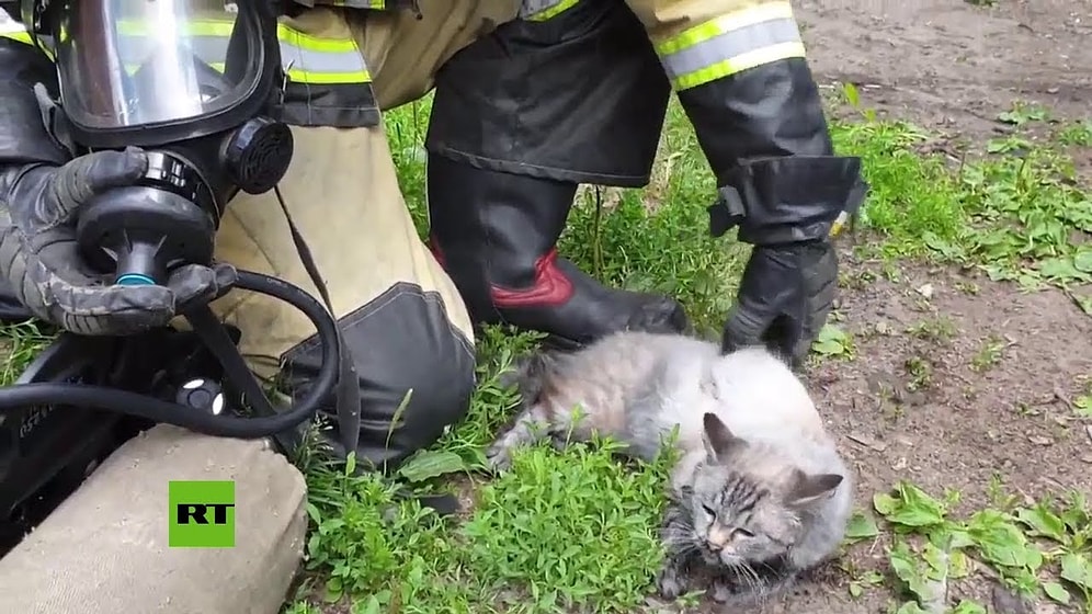 Yangından Kurtardığı Kediyi Oksijen Maskesi ile Yaşama Döndüren İtfaiyecinin Muhteşem Anları!