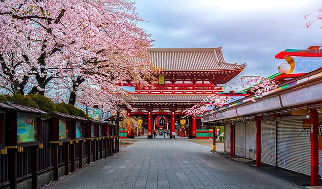Japonya!