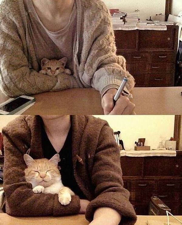 13. Годы идут, а привычки все те же