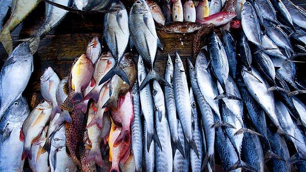 1. Yapılan DNA testleri, balıkçılarda/marketlerde satılan balıkların 1/3'ünün yanlış cins adı altında satıldığını gösteriyor.