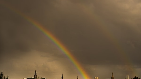 3. Ваш любимый цвет?