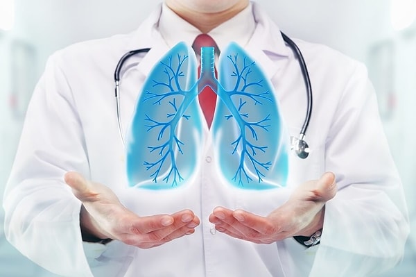 5. Правое легкое меньше левого.