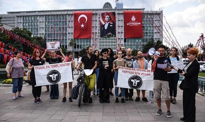 İBB Önünde Fayton Protestosu: 'Atların Çığlıklarını Duy Artık'