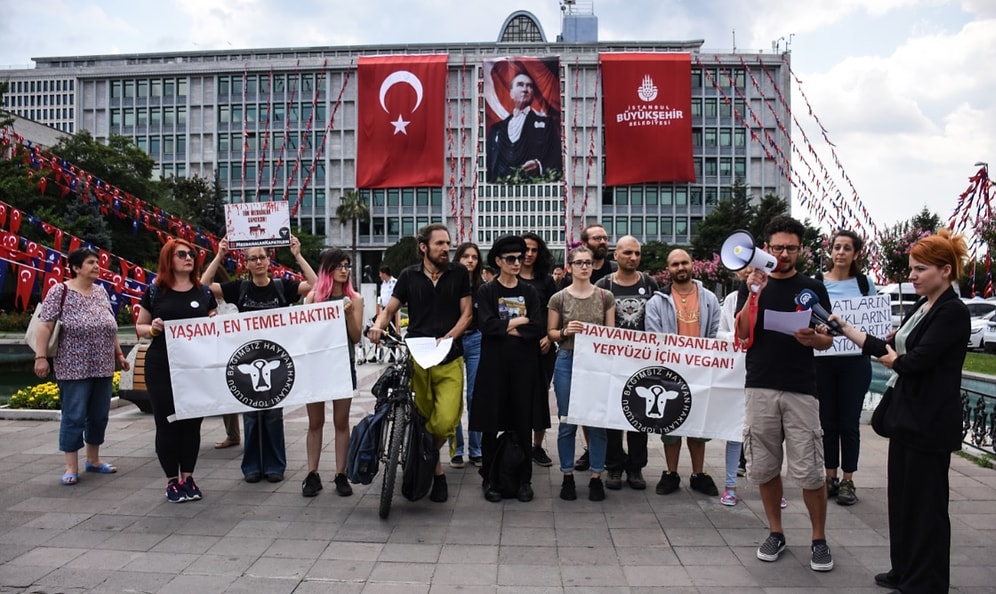 İBB Önünde Fayton Protestosu: 'Atların Çığlıklarını Duy Artık'