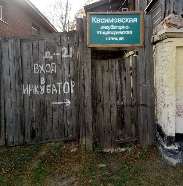 7. Видел бы это СЭС