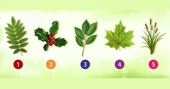 Тест: Лист, который понравился вам больше всего, расскажет о том, какой вы человек