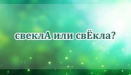 Тест: Хватит ли вашей начитанности, чтобы правильно проставить все ударения в словах?