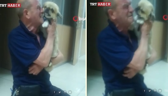 Çalınan Köpeğine Kavuşunca Hüngür Hüngür Ağlayan Adam