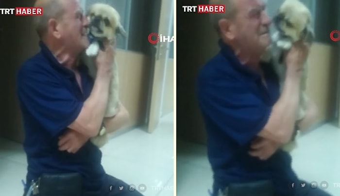 Çalınan Köpeğine Kavuşunca Hüngür Hüngür Ağlayan Adam