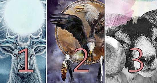 Тест: То животное, которое первым привлекло ваше внимание, раскроет все секреты вашего характера