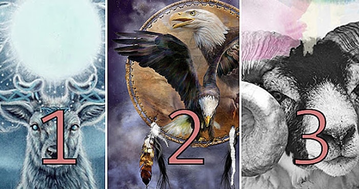Тест: То животное, которое первым привлекло ваше внимание, раскроет все секреты вашего характера