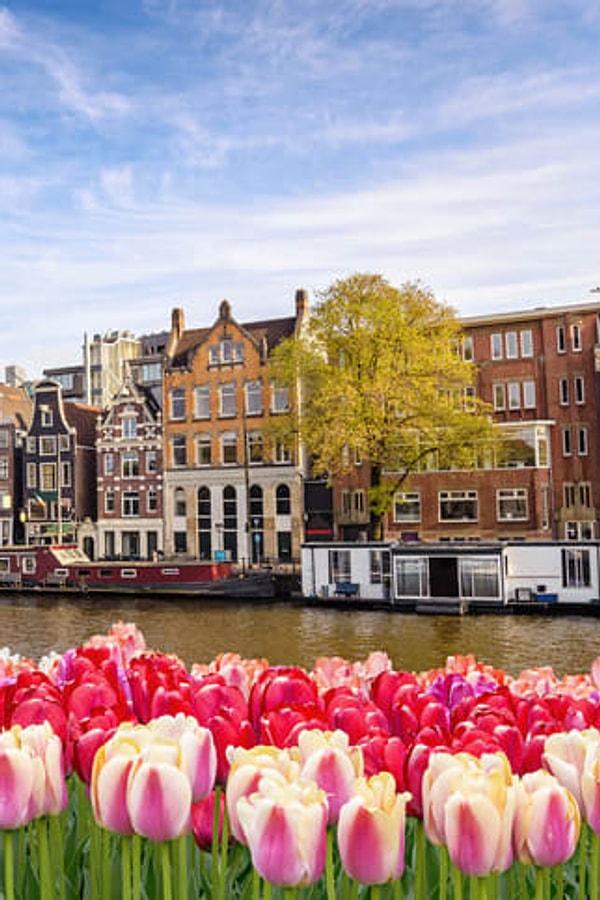 3. Амстердам – не единственный стоящий город в Нидерландах. Не пропустите Делфт и Харлем.