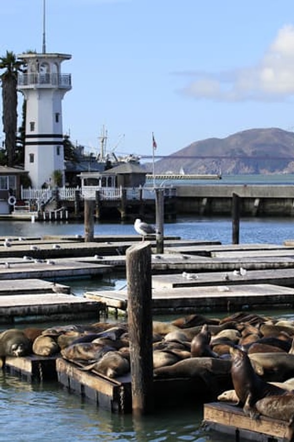 19. Рыбацкая верфь в Сан-Франциско, США, - замануха для туристов, но стоит прогуляться по мосту «Золотые ворота», посетить шикарные парки и попробовать вкуснейший димсам в Чайнатауне.