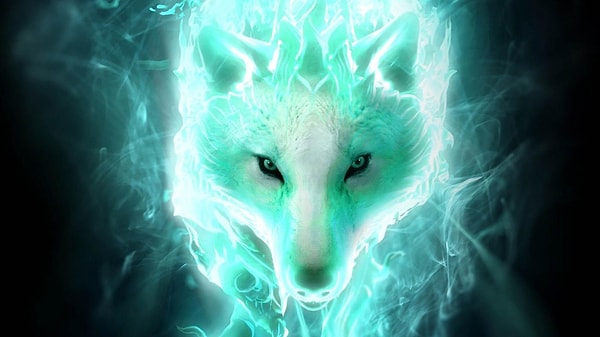 Ваш духовный наставник - мощное животное!