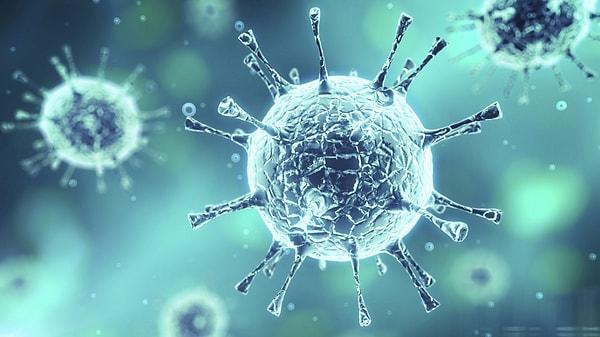 Hastalardan alınan ilk örneklerde genellikle Akdeniz bölgesinde görülen “Batı Nil Virüsü” tespit edildi.